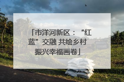 市洋河新区：“红蓝”交融 共绘乡村振兴幸福画卷