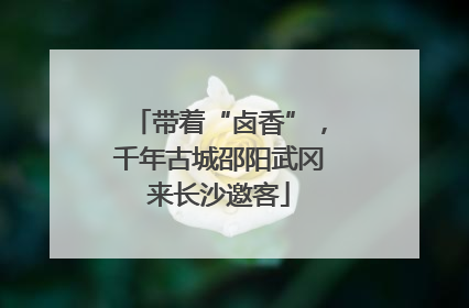 带着“卤香”，千年古城邵阳武冈来长沙邀客