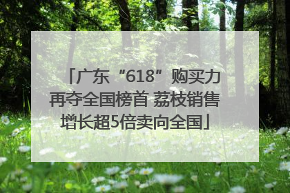 广东“618”购买力再夺全国榜首 荔枝销售增长超5倍卖向全国