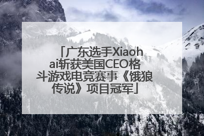 广东选手Xiaohai斩获美国CEO格斗游戏电竞赛事《饿狼传说》项目冠军