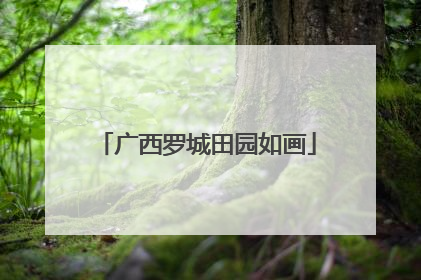 广西罗城田园如画