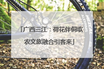 广西三江：荷花伴侗歌 农文旅融合引客来
