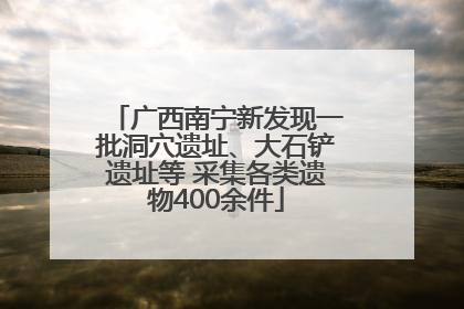 广西南宁新发现一批洞穴遗址、大石铲遗址等 采集各类遗物400余件