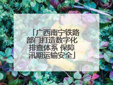广西南宁铁路部门打造数字化排查体系 保障汛期运输安全