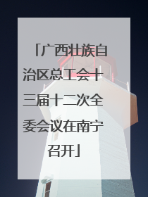 广西壮族自治区总工会十三届十二次全委会议在南宁召开