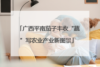 广西平南茄子丰收“蔬”写农业产业新图景