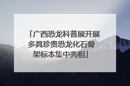 广西恐龙科普展开展 多具珍贵恐龙化石骨架标本集中亮相