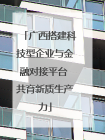 广西搭建科技型企业与金融对接平台 共育新质生产力