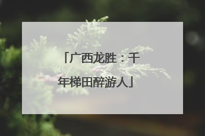 广西龙胜：千年梯田醉游人