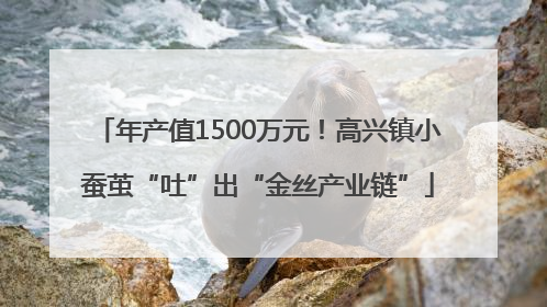 年产值1500万元！高兴镇小蚕茧“吐”出“金丝产业链”