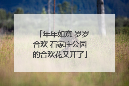 年年如意 岁岁合欢 石家庄公园的合欢花又开了