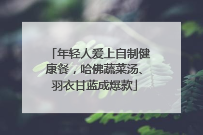 年轻人爱上自制健康餐，哈佛蔬菜汤、羽衣甘蓝成爆款