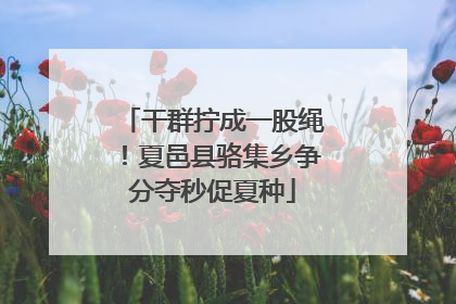 干群拧成一股绳！夏邑县骆集乡争分夺秒促夏种