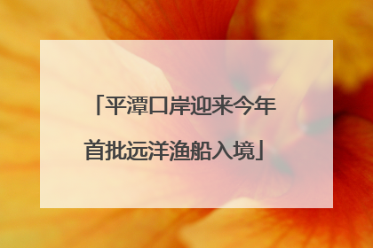 平潭口岸迎来今年首批远洋渔船入境
