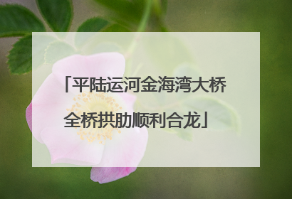 平陆运河金海湾大桥全桥拱肋顺利合龙