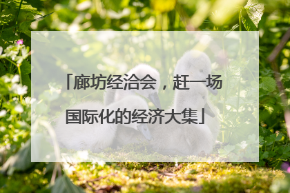廊坊经洽会，赶一场国际化的经济大集