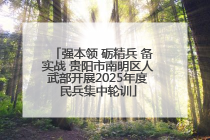强本领 砺精兵 备实战 贵阳市南明区人武部开展2025年度民兵集中轮训