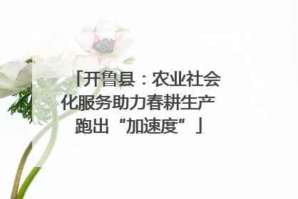 开鲁县：农业社会化服务助力春耕生产跑出“加速度”