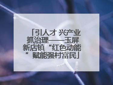 引人才 兴产业 抓治理——玉屏新店镇“红色动能”赋能强村富民