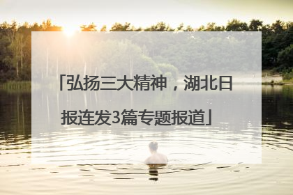 弘扬三大精神，湖北日报连发3篇专题报道