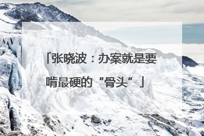 张晓波：办案就是要啃最硬的“骨头”