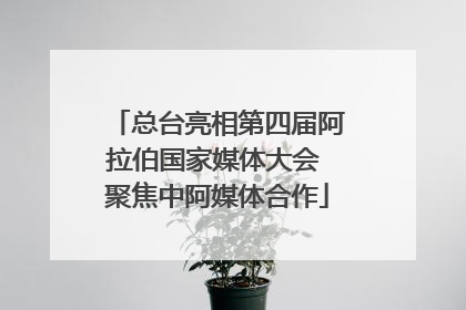 总台亮相第四届阿拉伯国家媒体大会 聚焦中阿媒体合作