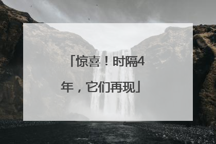 惊喜！时隔4年，它们再现