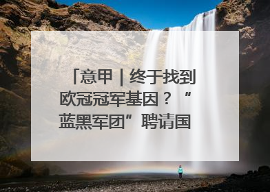 意甲｜终于找到欧冠冠军基因？“蓝黑军团”聘请国米名宿齐沃执教