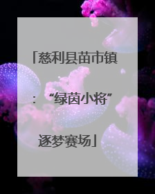 慈利县苗市镇：“绿茵小将”逐梦赛场