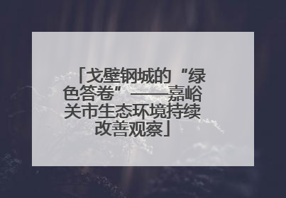 戈壁钢城的“绿色答卷”——嘉峪关市生态环境持续改善观察