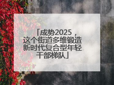 成势2025，这个街道多维锻造新时代复合型年轻干部梯队