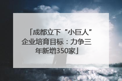 成都立下“小巨人”企业培育目标：力争三年新增350家