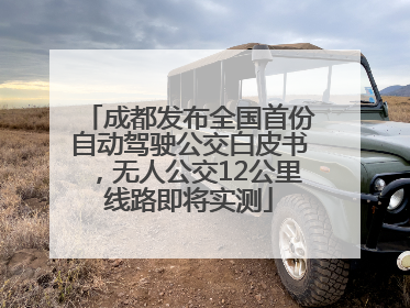 成都发布全国首份自动驾驶公交白皮书，无人公交12公里线路即将实测