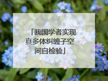 我国学者实现真多体纠缠子空间自检验