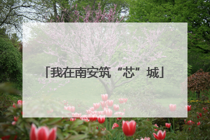 我在南安筑“芯”城