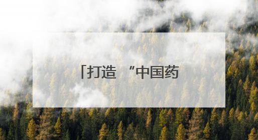 打造 “中国药谷”，驻马店市市长诚邀长三角高精尖企业入驻