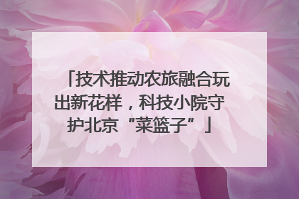技术推动农旅融合玩出新花样，科技小院守护北京“菜篮子”