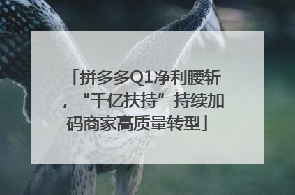 拼多多Q1净利腰斩，“千亿扶持”持续加码商家高质量转型