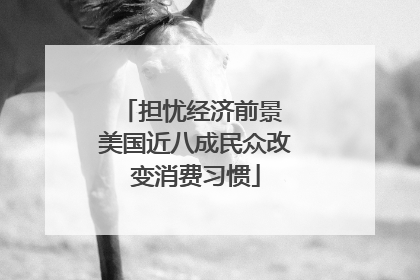 担忧经济前景 美国近八成民众改变消费习惯