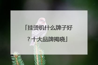 挂烫机什么牌子好？十大品牌揭晓
