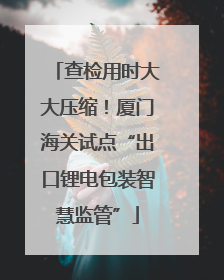 查检用时大大压缩！厦门海关试点“出口锂电包装智慧监管”