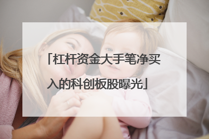 杠杆资金大手笔净买入的科创板股曝光