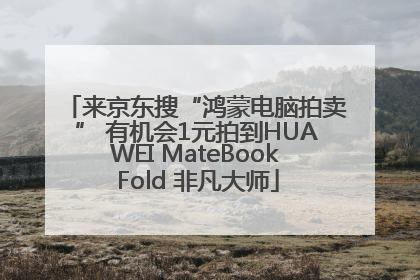 来京东搜“鸿蒙电脑拍卖” 有机会1元拍到HUAWEI MateBook Fold 非凡大师