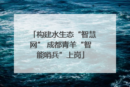 构建水生态“智慧网” 成都青羊“智能哨兵”上岗