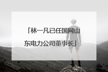林一凡已任国网山东电力公司董事长