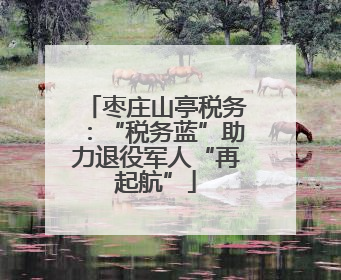 枣庄山亭税务：“税务蓝”助力退役军人“再起航”
