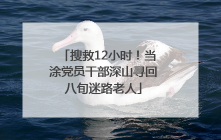 搜救12小时！当涂党员干部深山寻回八旬迷路老人