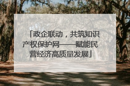 政企联动，共筑知识产权保护网——赋能民营经济高质量发展