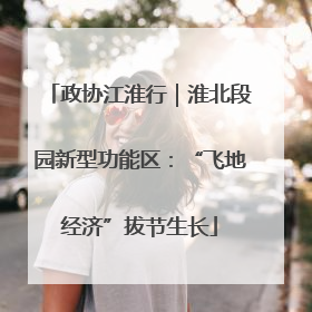 政协江淮行｜淮北段园新型功能区：“飞地经济”拔节生长