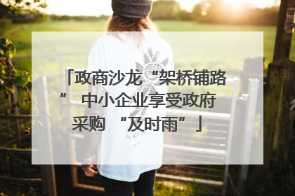 政商沙龙“架桥铺路” 中小企业享受政府采购 “及时雨”